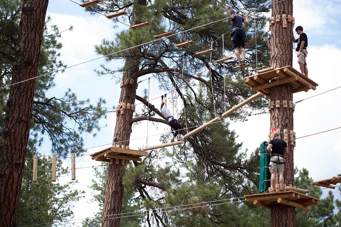 Flagstaff Extreme Adventure Course-Adult Course - Experience Details