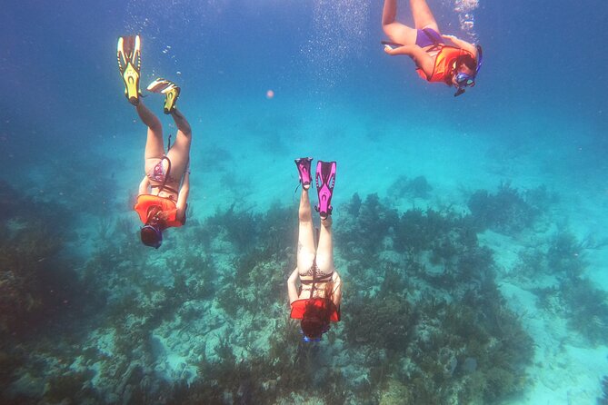 Florida Keys Snorkeling Adventure  - Key Largo - Tour Schedule
