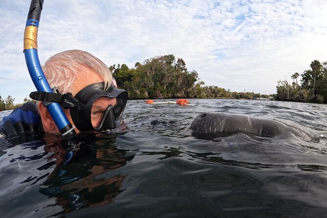 Florida Manatees, Nature Park, and Airboat Tour From Orlando - Tour Details and Booking Options