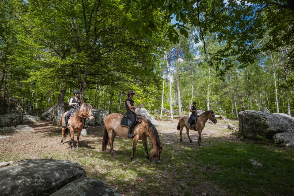 Fontainebleau: Horse-riding, Gastronomy & Château - Activity Details