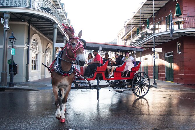 French Quarter and Marigny Neighborhood Carriage Ride - Tour Overview