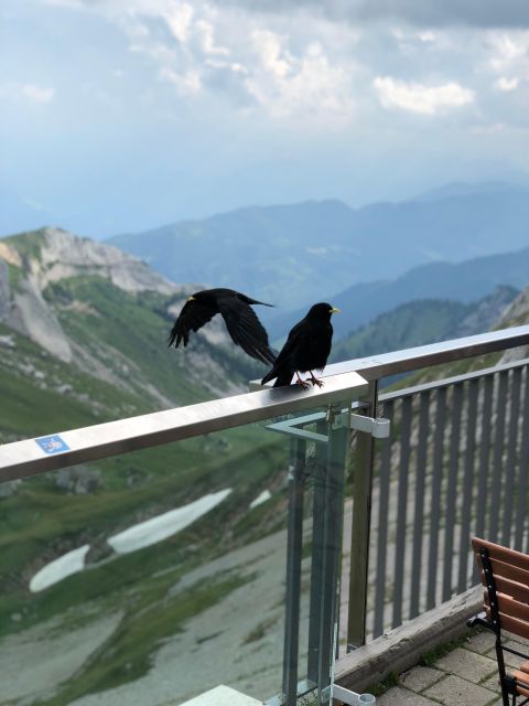 From Basel: Mt. Pilatus and Lake Lucerne Private Tour