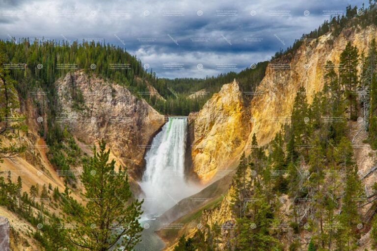 From Bozeman: Yellowstone Full-Day Tour With Entry Fee