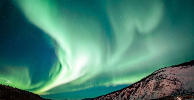 From Fairbanks: Arctic Circle Northern Lights Full-Day Trip