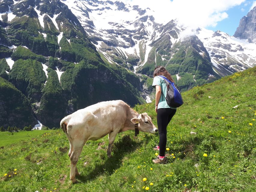 From Lucerne: The Heart of Swiss Alps Private Guided Hike - Activity Details