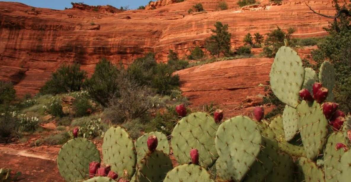 From Phoenix: Full-Day Sedona Small-Group Tour - Activity Details