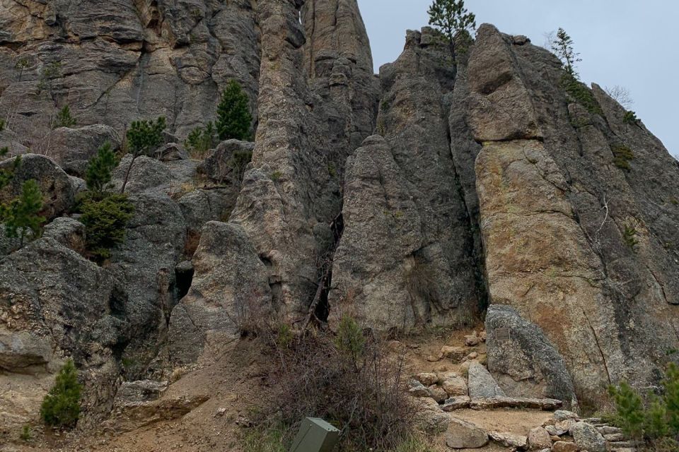 From Rapid City: Custer State Park Private Safari And Hiking