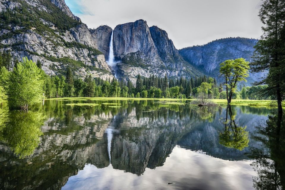 From San Francisco: Day Trip to Yosemite National Park - Activity Details
