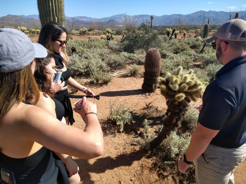 From Scottsdale: Sonoran Desert & Tonto National Forest Trip - Trip Details