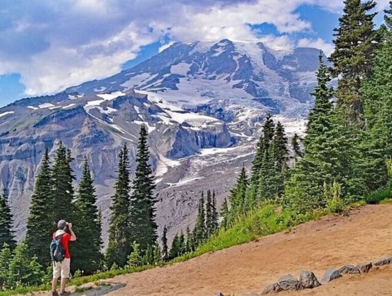 From Seattle: Full-Day Mt Rainier National Park Private Tour
