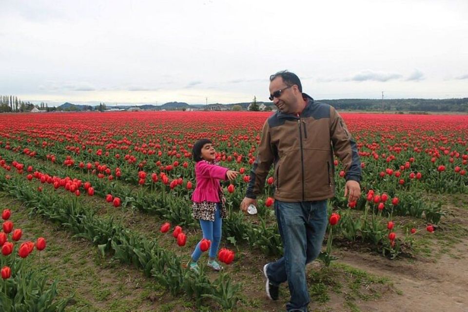 From Seattle:Tulip Festival at Skagit Valley and La Conner - Exciting Tulip Festival Experience