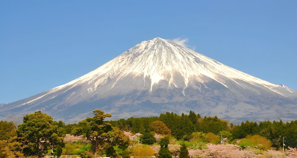 From Tokyo: 10-hour Private Tour to Mount Fuji and Hakone - Booking Details