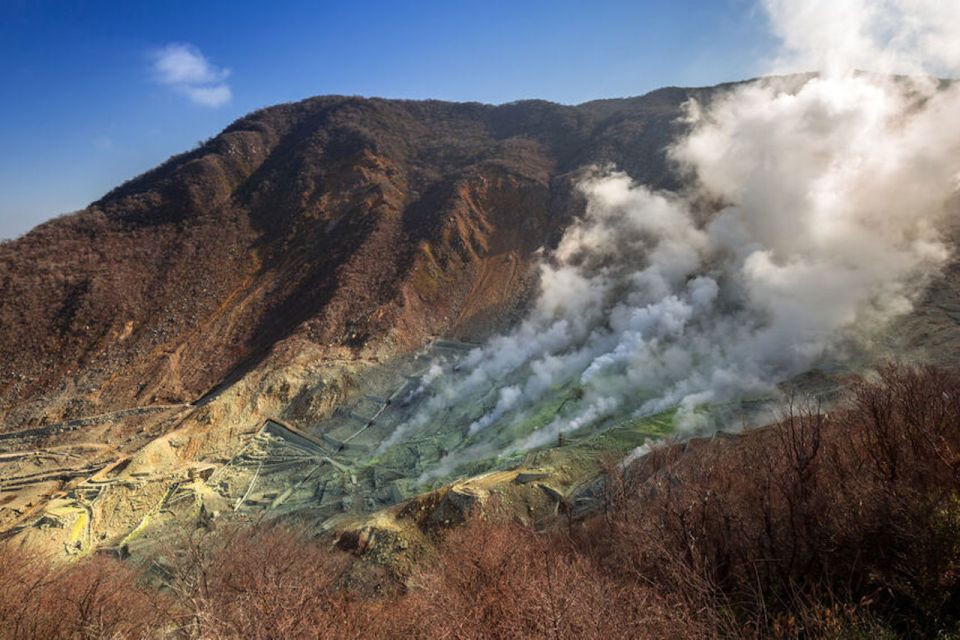 From Tokyo: Hakone and Owakudani Private Day Trip - Booking and Cancellation Policy