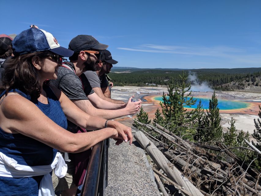 From West Yellowstone: Lower Loop Active Van Tour - Tour Details