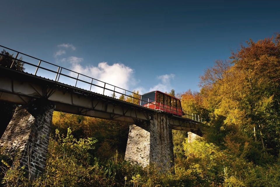 From Zurich: Interlaken Day Trip and Harder Kulm Viewpoint - Experience Highlights