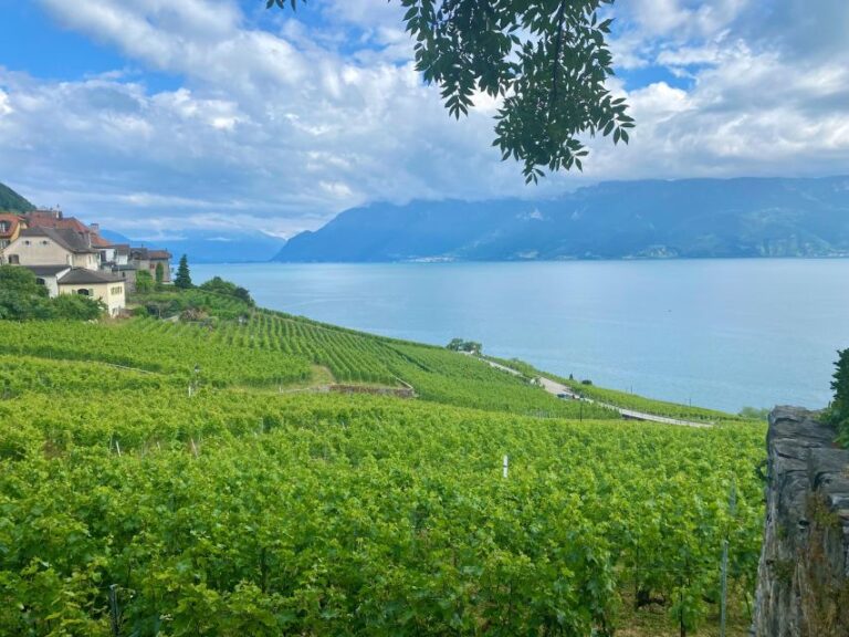 From Zurich: Private Day Trip to Gruyères & Lavaux Vineyard