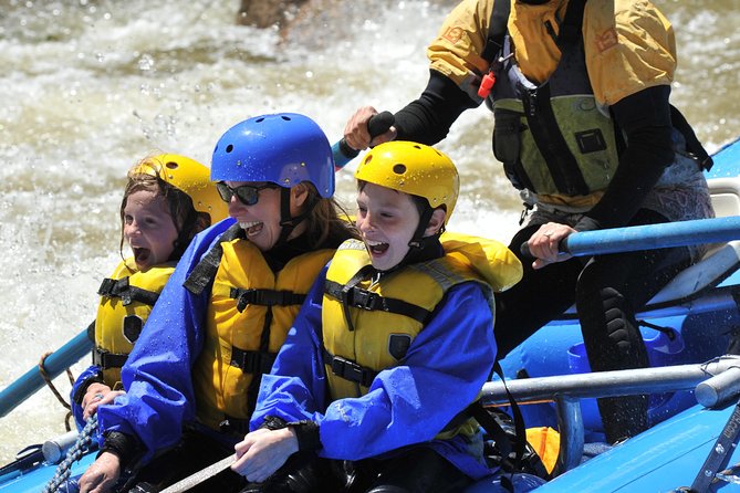 Full Day Intermediate Rafting Trip in Browns Canyon - Trip Highlights