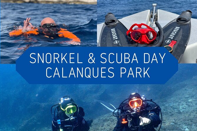 Full-Day Snorkeling and Guided Dive in the Calanques National Park From Marseille - Activity Overview