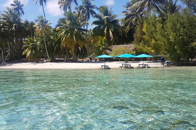 Full-Day Tour With Snorkeling, Tahaa Island From Raiatea - Customer Reviews and Recommendations
