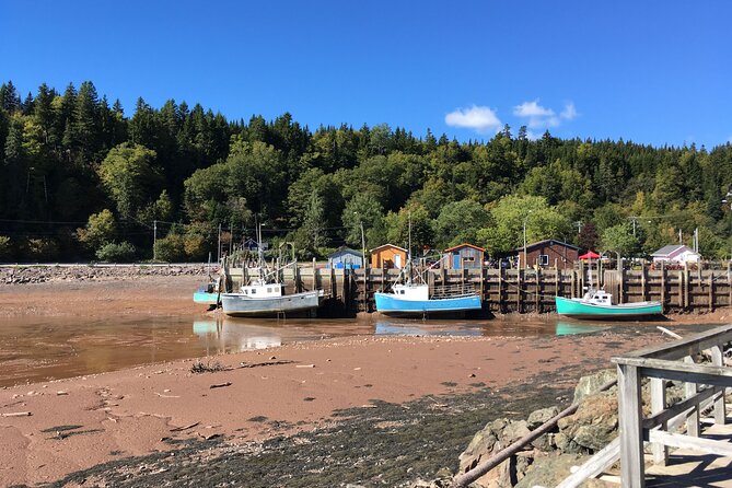 Go Fundy Tours - Tour Options and Itineraries