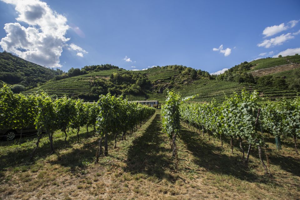 Grape Grazing: Wachau Valley Winery Biking Tour - Tour Duration and Guide Information