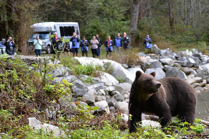 Great Bears of Bute: Grizzly Bear Viewing & Indigenous Cultural Tour