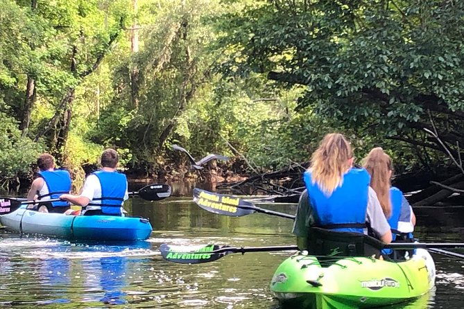Guided Kayak Eco Tour: Real Florida Adventure - Tour Inclusions