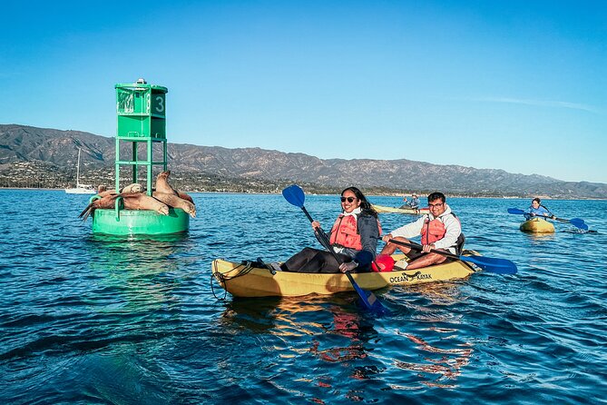 Guided Kayak Wildlife Tour in the Santa Barbara Harbor - Kayaking Basics