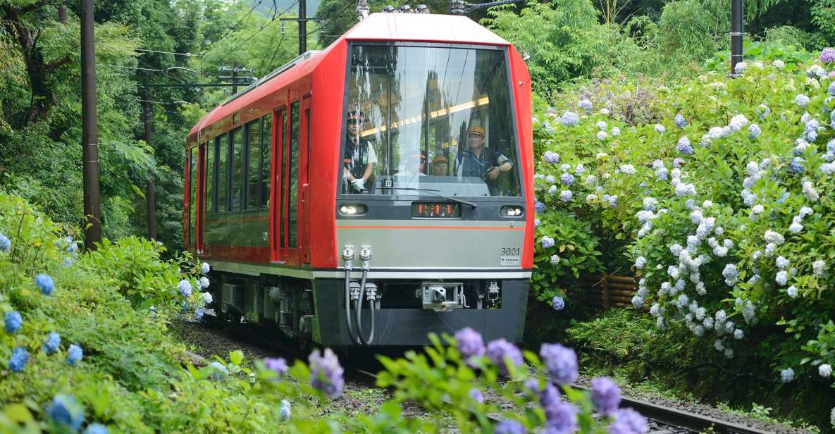 Hakone: Train Pass With Unlimited Rides & Activity Discounts - Key Activity Details