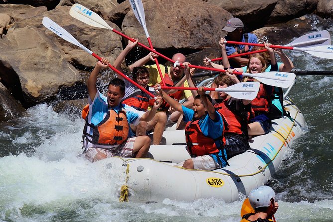 Half-Day Family Rafting in Durango, Colorado - Tour Overview
