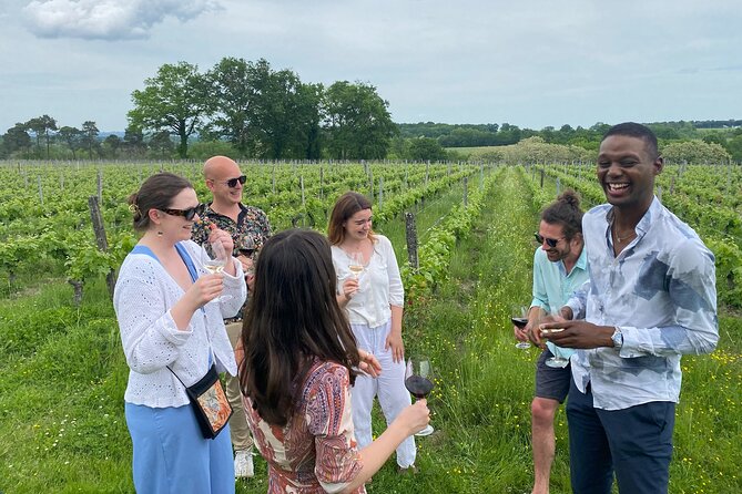 Half-Day Guided Wine Tasting Tour in Bordeaux Vineyards