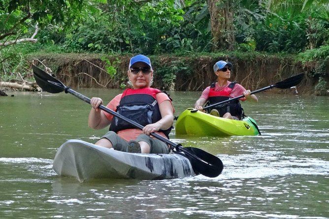 Half-Day Mangroves Tour by Kayak With a Naturalist Guide  - Quepos - Wildlife Exploration