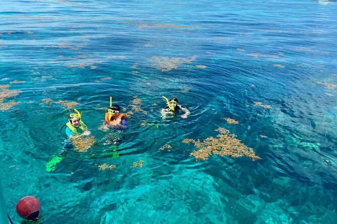 Half Day Snorkel Trip on Reefs in the Florida Keys - Trip Details