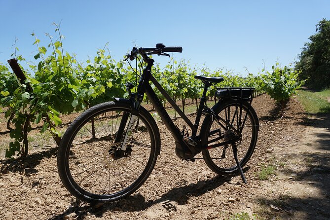 Half-Day Tour From St Rémy-De-Provence by Electric Bike With Carrière De Lumiere