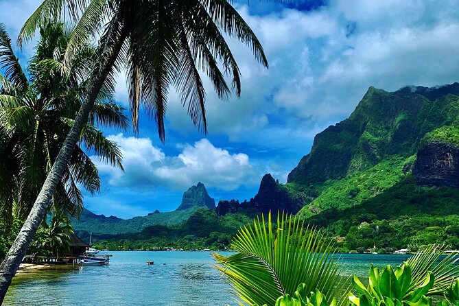 Half-Day Tour of Moorea Island in a Small Group - Logistics Details