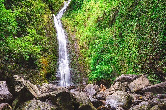 Hike Trail to Waterfall & Nature Walk - Tour Highlights