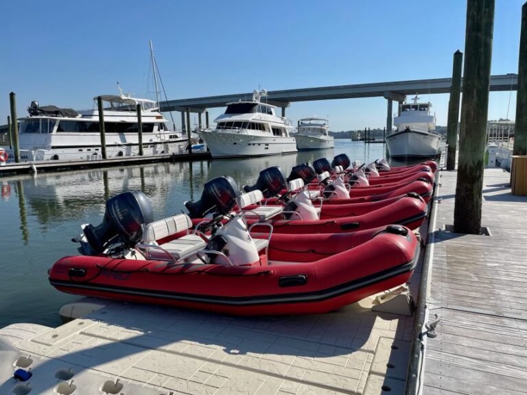 Hilton Head: Guided Disappearing Island Tour by Mini Boat