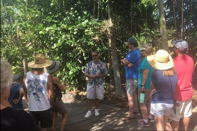 Holualoa Coffee and Chocolate Plantation 2-hour Guided Tour  - Big Island of Hawaii - Tour Overview