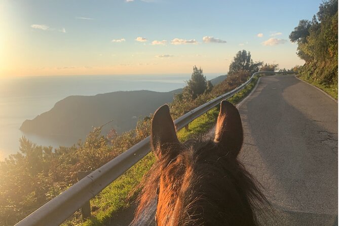 Horse Ride on the Coast of Monterosso Al Mare Cinque Terre - Booking Details