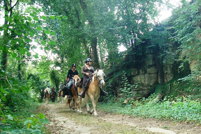 Horse Riding in the French Countryside - What to Expect on the Horseback Ride