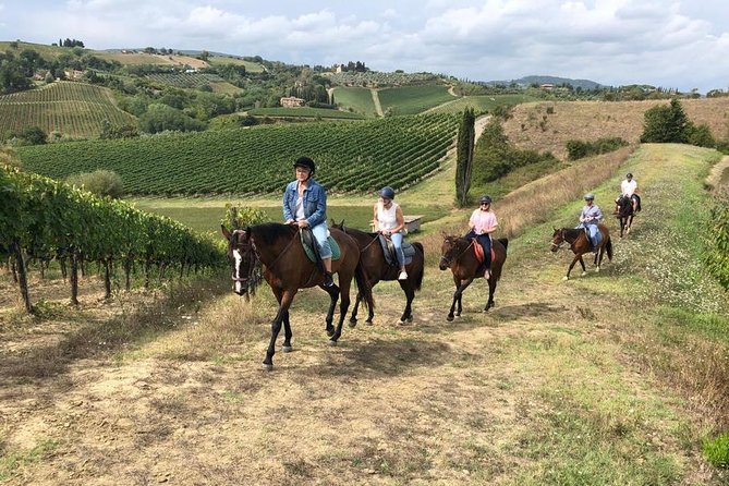 Horseback Ride in S.Gimignano With Tuscan Lunch Chianti Tasting - Tour Overview