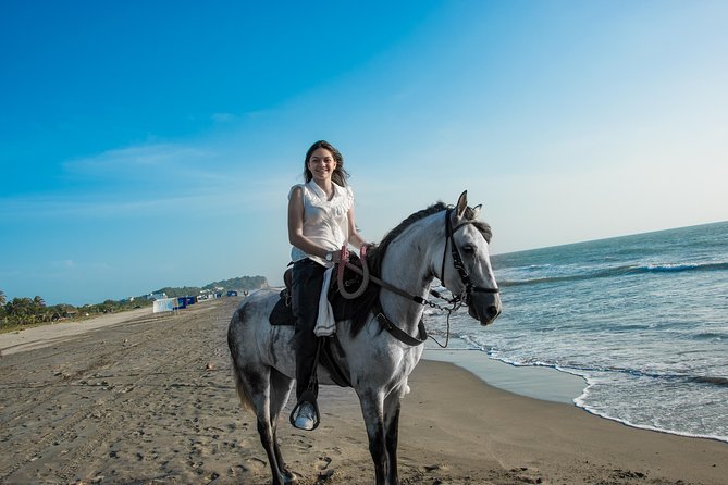 Horseback Riding Tour in Beach of Cartagena - Tour Inclusions