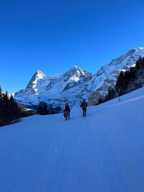 Interlaken: Snowshoe and Fondue Adventure in the Swiss Alps - Activity Details