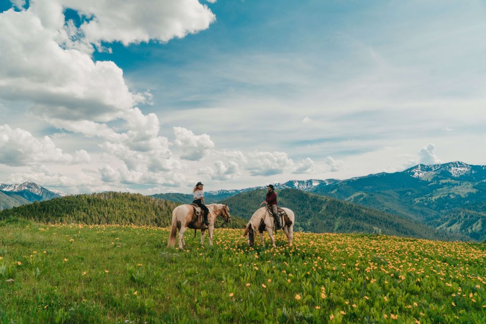 Jackson Hole: Moose Meadow Horseback Tour With Breakfast - Activity Details