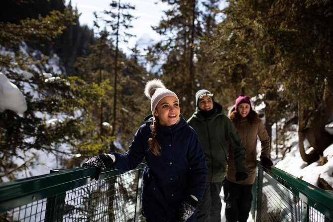 Johnston Canyon Frozen Waterfalls & Banff Backroads Wildlife Tour