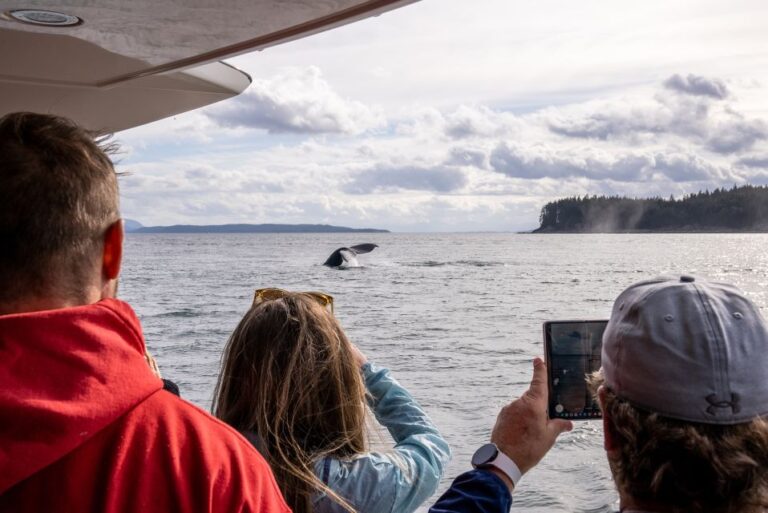 Juneau: All Inclusive Luxury Whale Watch