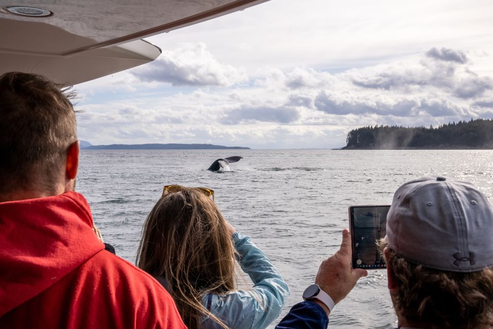 Juneau: All Inclusive Luxury Whale Watch - Luxury Yacht Experience