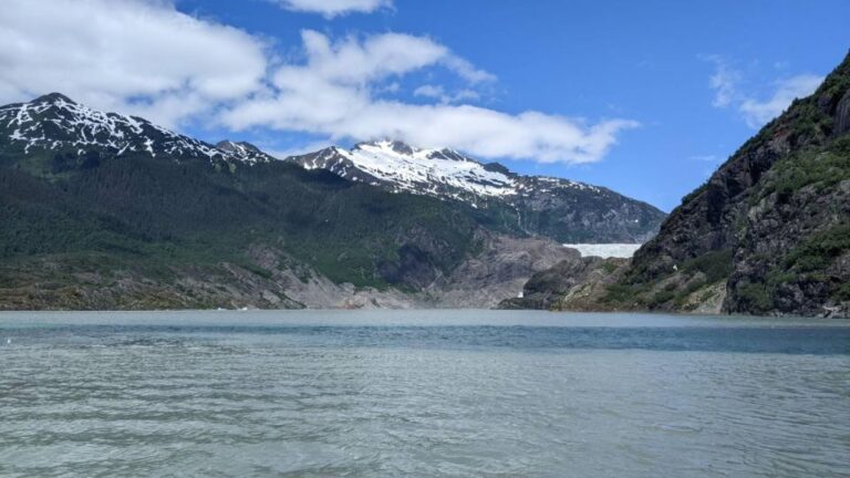 Juneau: Mendenhall Glacier Waterfall & Whale Watching Tour