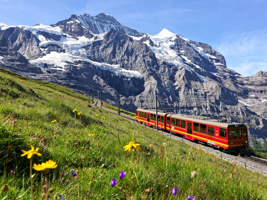 Jungfraujoch (Private Tour) - Tour Activity Details