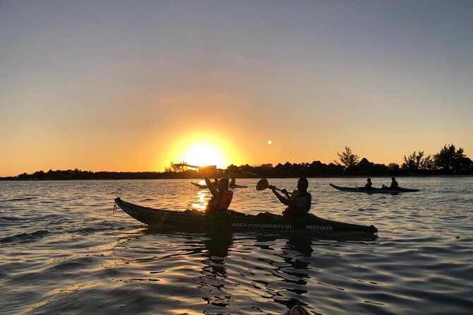 Kayak Mangroves Sunrise Experience - Pickup and Drop-off Information